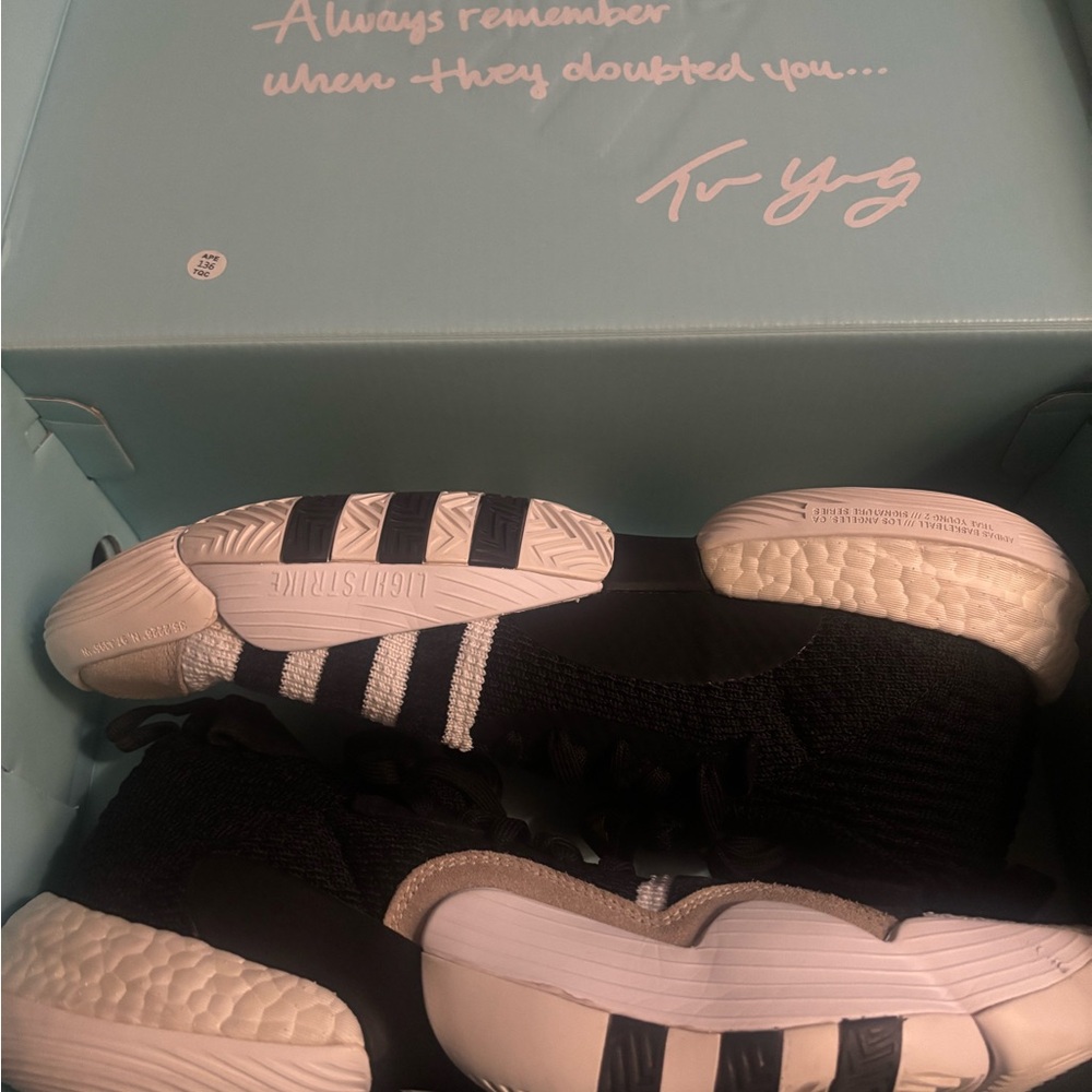 Adidas Trae Young 2.0 shoe